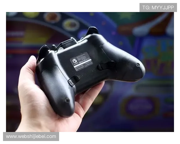 bet买球网赌盘如何选择可靠的平台确保资金安全与游戏体验提升