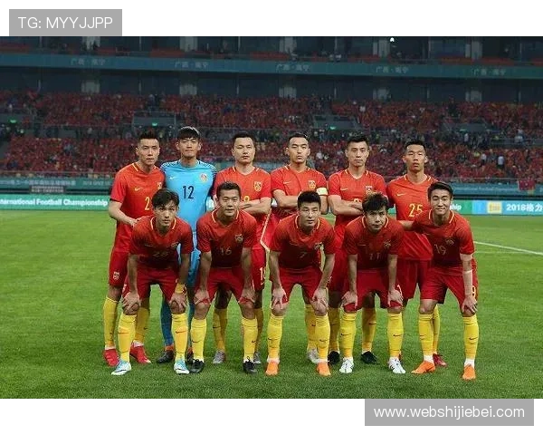 世界杯亚洲历届名额分配详细解析及历史变化趋势分析